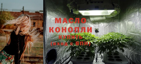 ешки Надым