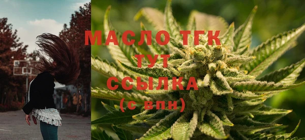 ешки Надым