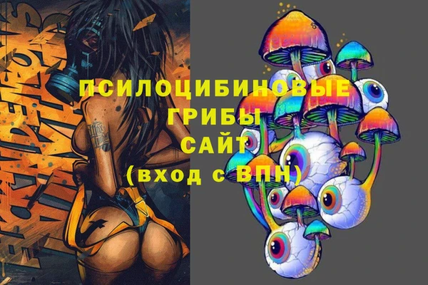 эйфоретик Горнозаводск