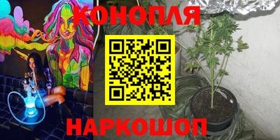 прущие грибы Азнакаево