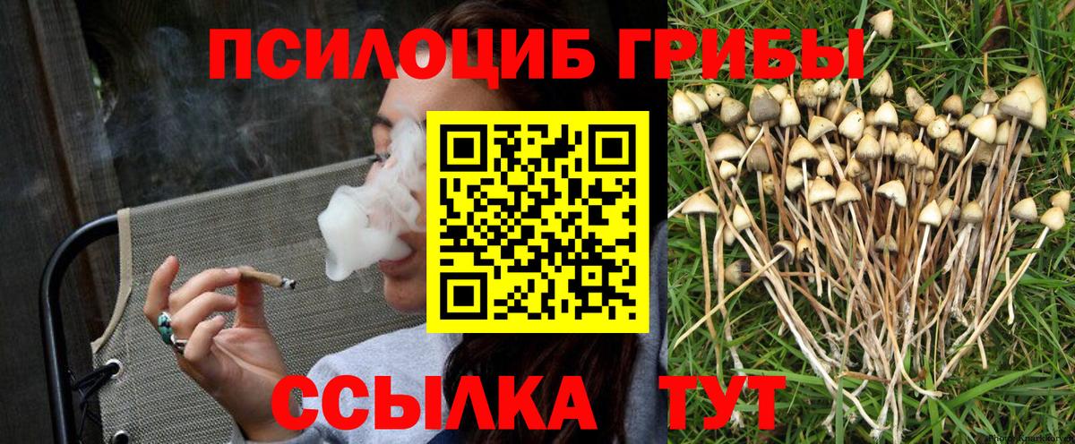 Галлюциногенные грибы Psilocybine cubensis  Вход с VPN  Псилоцибиновые грибы MAGIC MUSHROOMS  Балабаново 